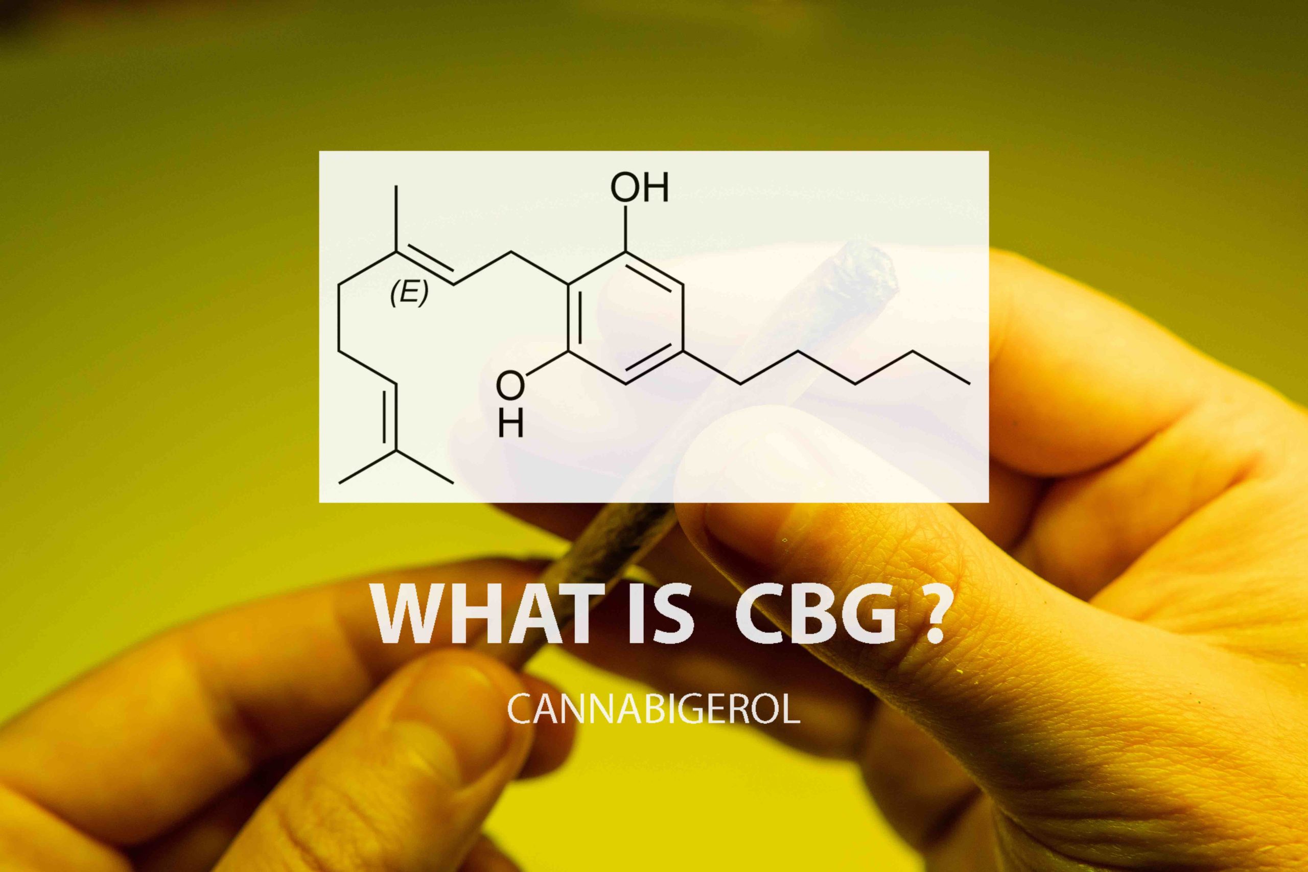 CBG Vs. CBD | Canna Culture