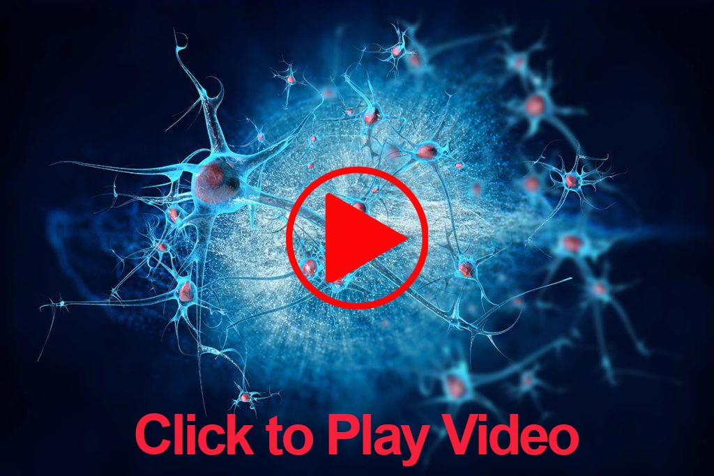 CannaBiotic Video Canna Culture Nerves Brain