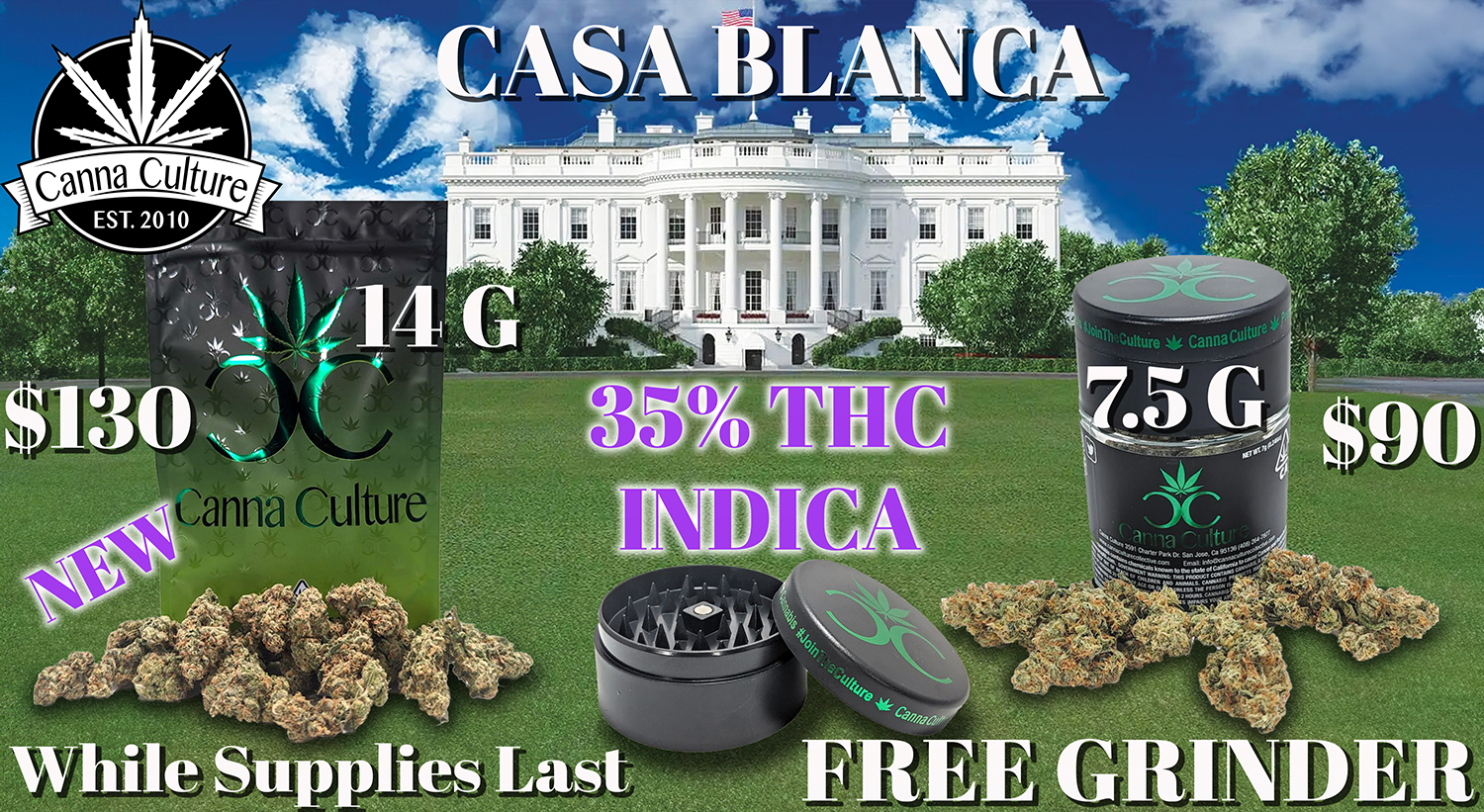 CASA-BLANCA-PROMO-TV-14G-WEB