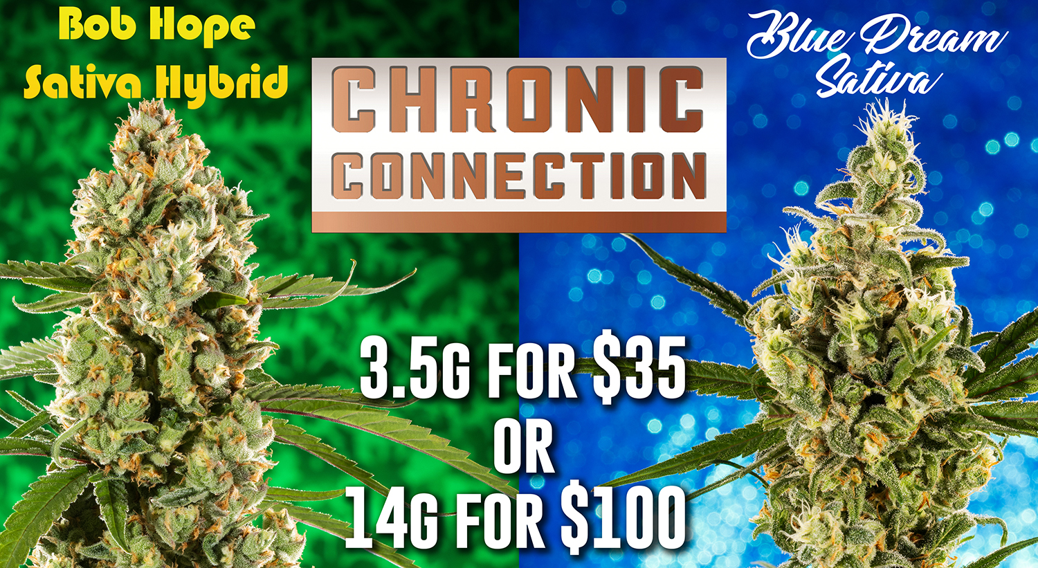 Chronic-Connection-Blue-Dream-Bob-Hope-TV-2025-WEB
