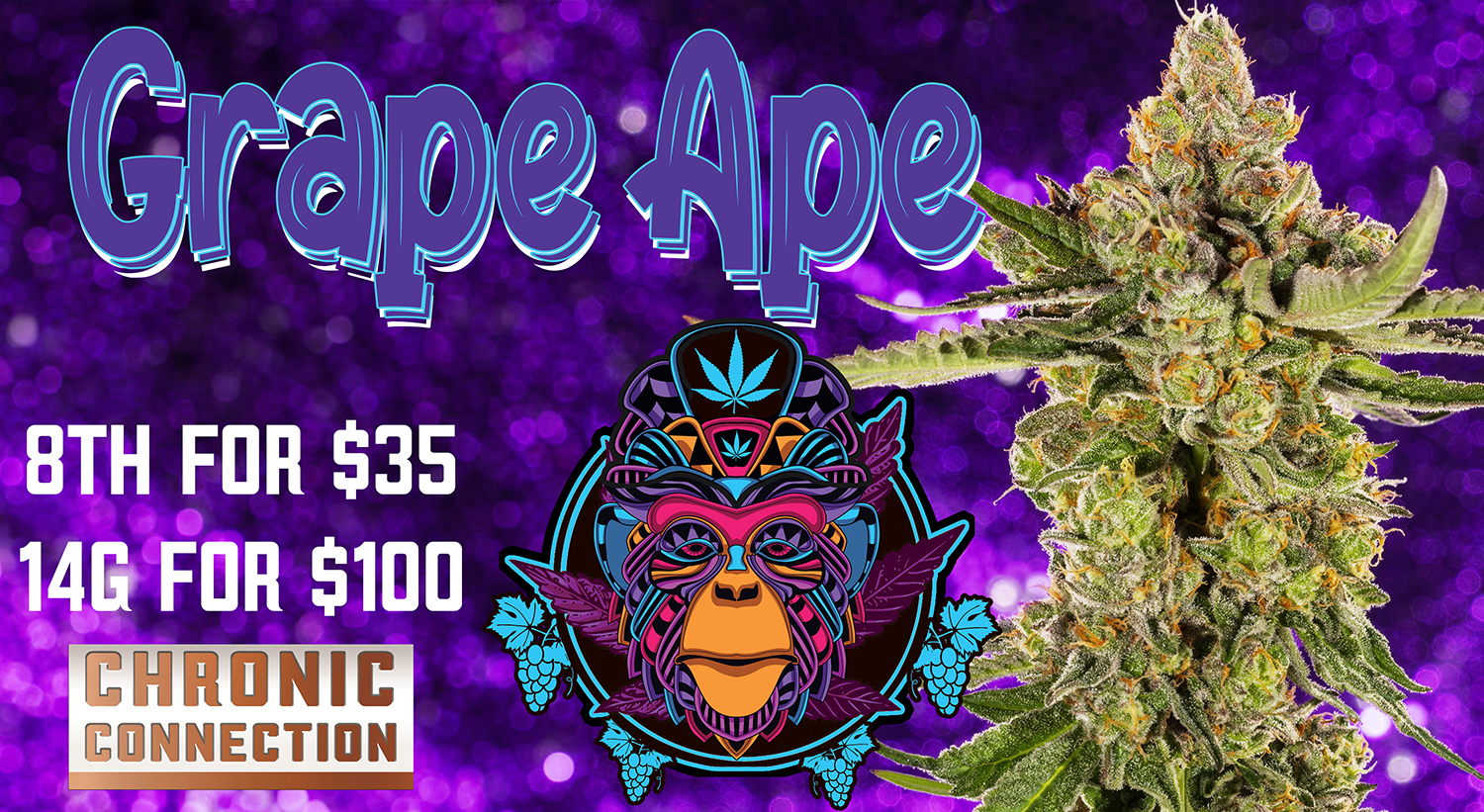 GRAPE-APE-2025-TV-WEB