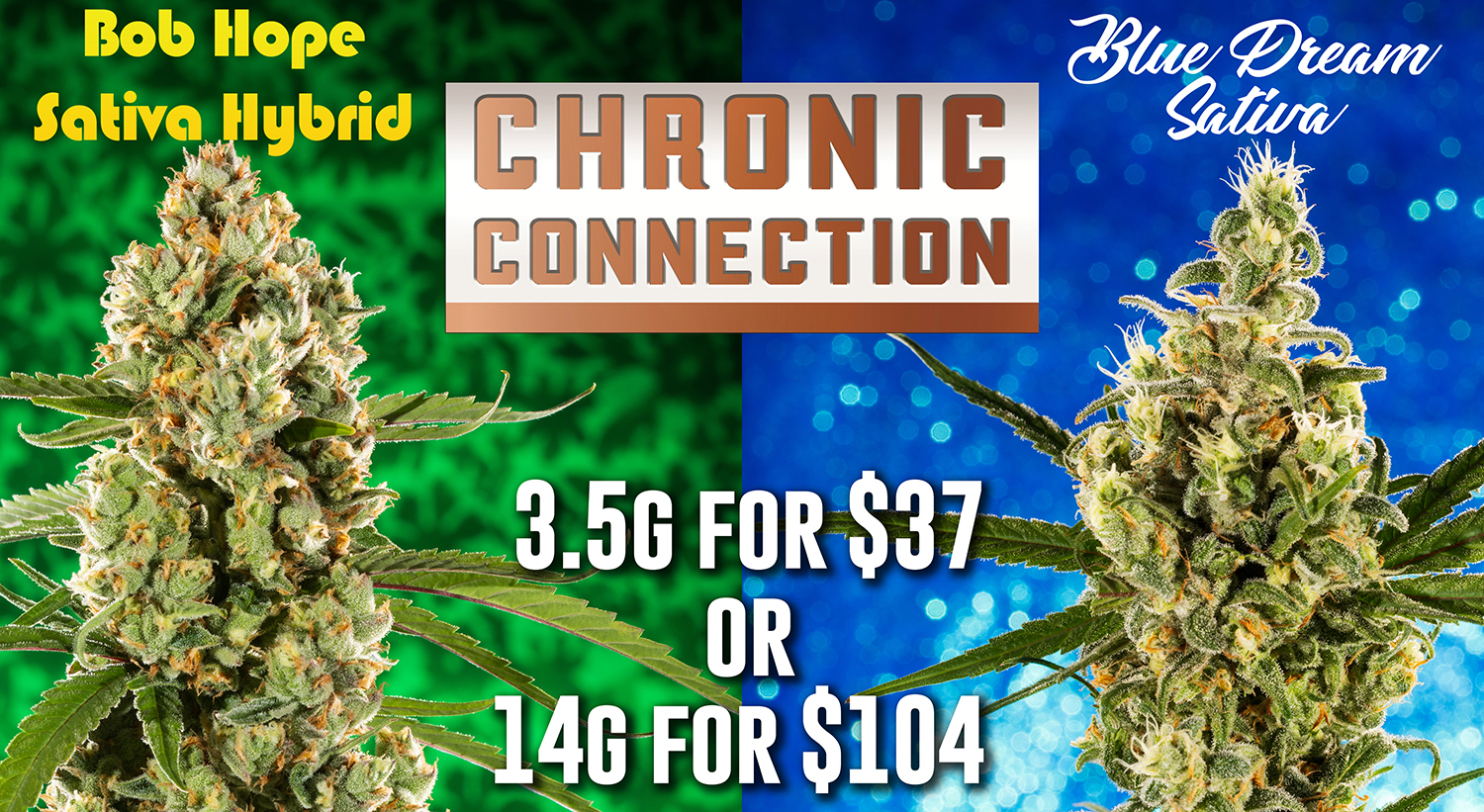 Chronic-Connection-Blue-Dream-Bob-Hope-TV-2025-WEB-1