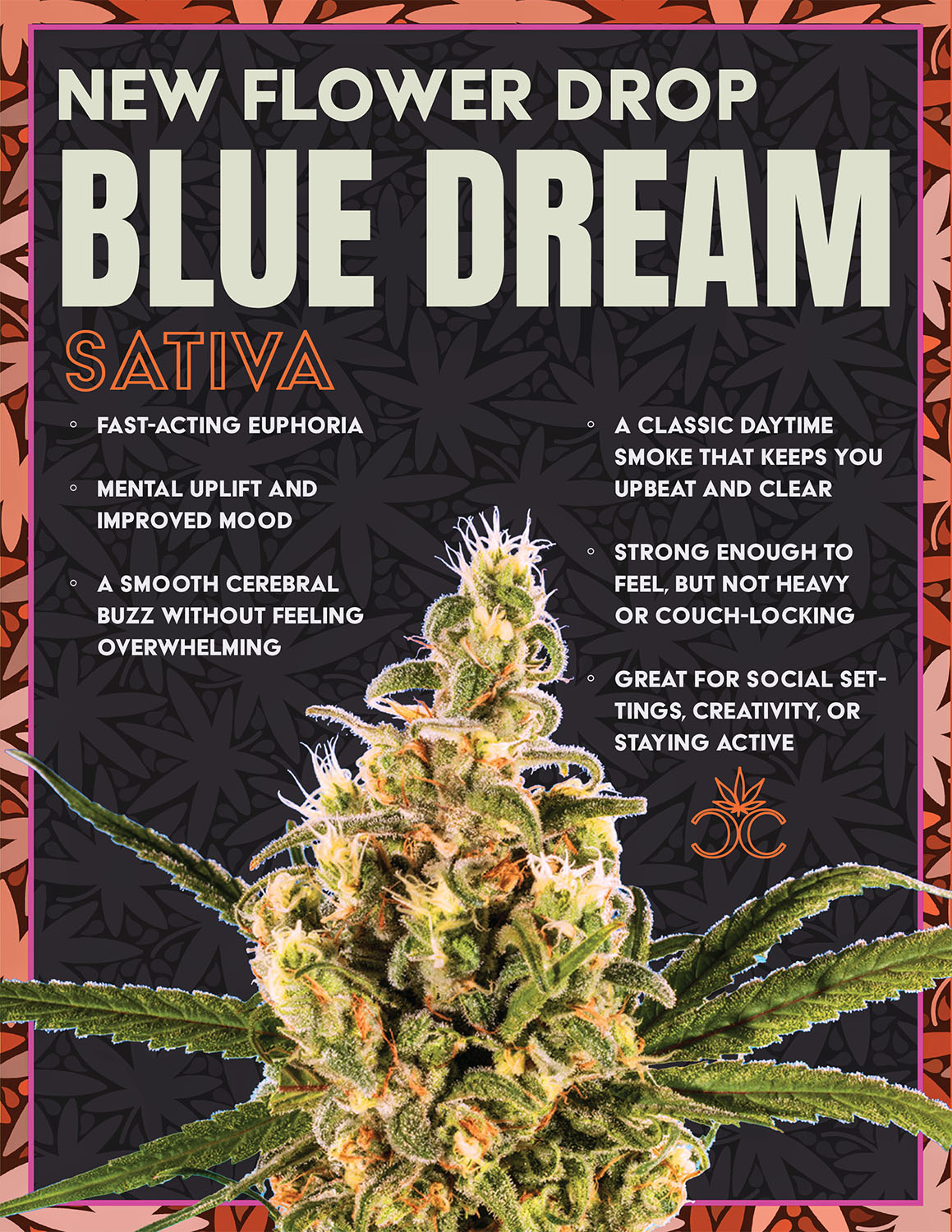 Best Cannabis Dispensary San Jose, CA