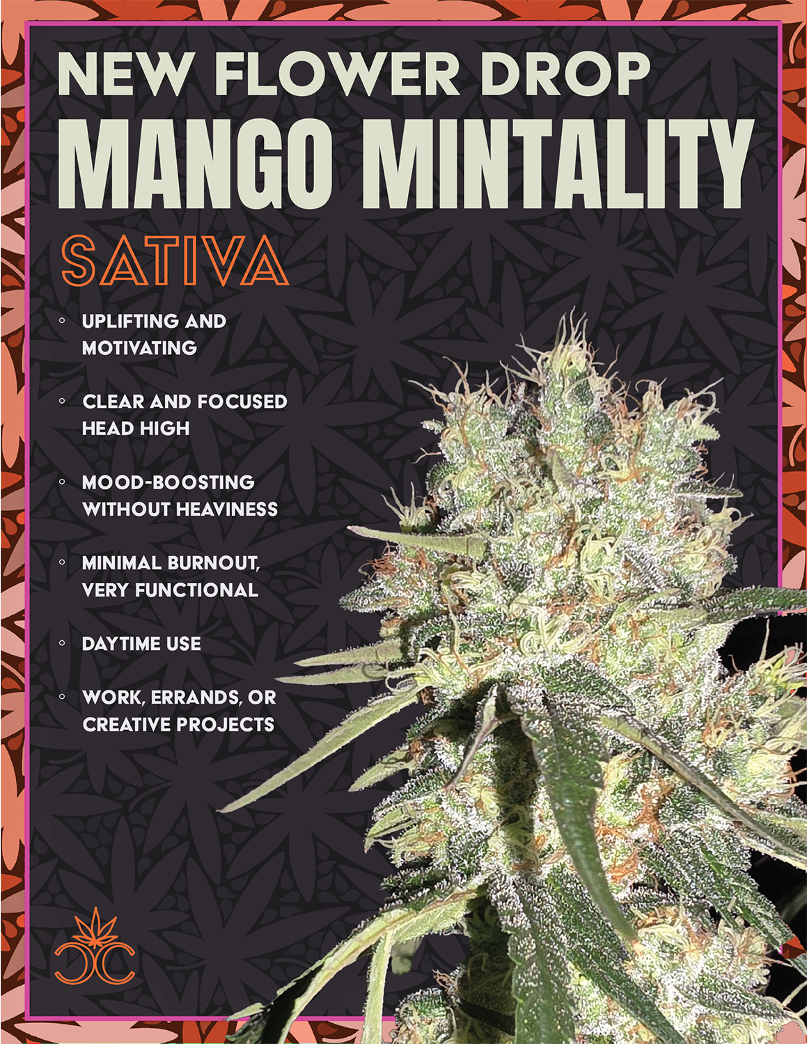 Mango-Mintality-POSTER-WEB